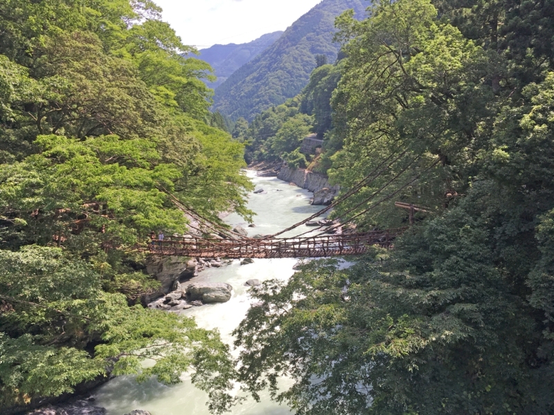 注目の写真